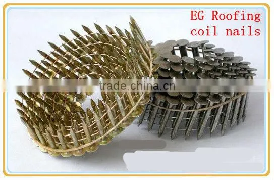 Top Selling Coil Nails in China photo-2