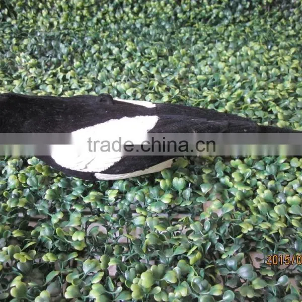 Plastic Hunting Magpie Decoy ,flocked