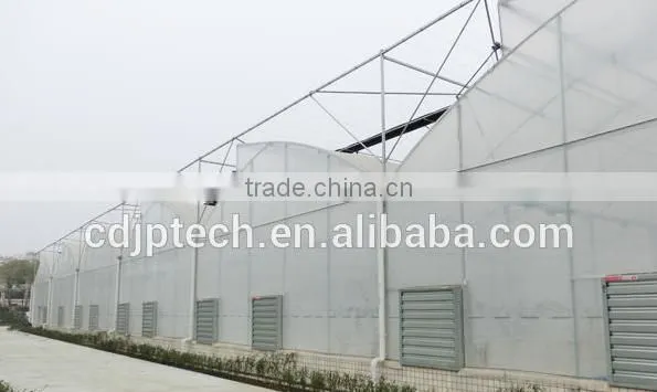 8M Span Width Agricultural Film Greenhouses photo-2