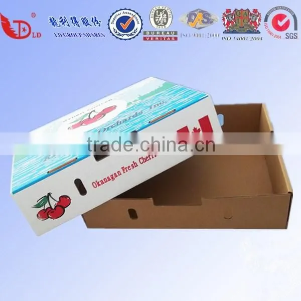 High Quality Custom Fruit Carton Box/fruit Storage Box photo-5