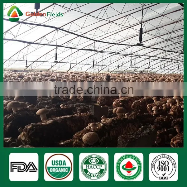 Health Benefits Shiitake Mushrooms,Fresh Shiitake Mushrooms,Fresh Shiitake photo-5