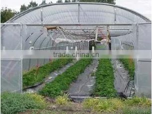 Greenhouse Film