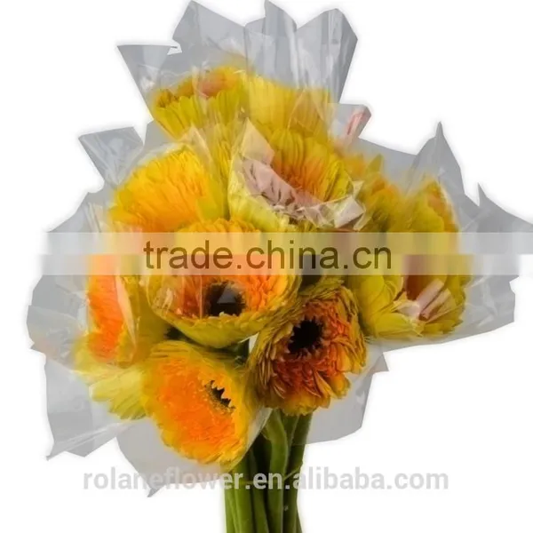 The Neatest Rate Cute Artificial Trumpet Flower Flower Flowers Flower Boxes With 70-80cm Long From Yunnan, China photo-2
