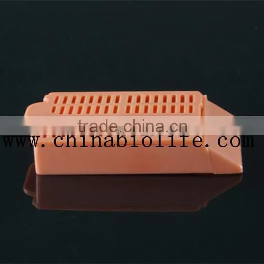 Medical Disposable Embedding Box photo-4
