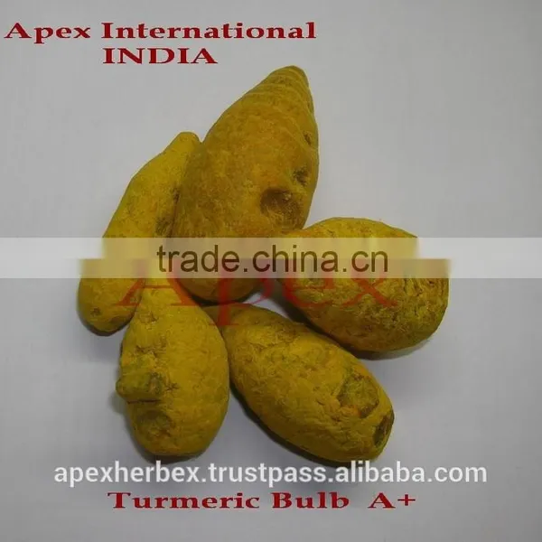 Turmeric Fingers Whole Spice / Turmeric / Curcuma Longa Fingers photo-3