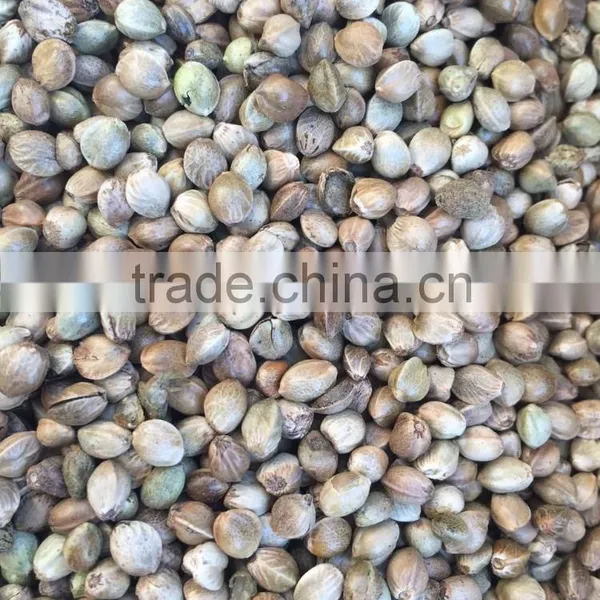 Hemp Seed