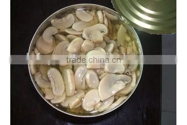 Hot Sale Canned Mushroom Slice Export photo-6
