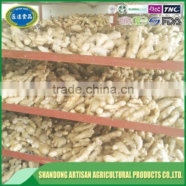 New Crop Buyer of Dry Ginger photo-5