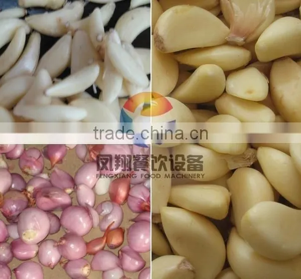Industrial Garlic Machine, Shallot Stripper, Garlic Peeling Machine With CE Certificate photo-6