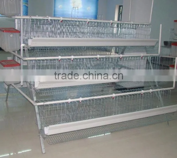 Automatic Chicken Layer Cage/Poultry Farm House/quail Cage photo-2
