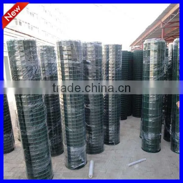 DM Factory Price Euro Fence at High Quality photo-5