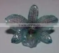 Orchid Accessories photo-3