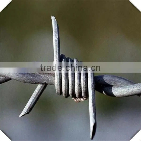 14#*16# Hot-dip Zinc Plating Barbed Wire / Galvanized Barbed Wire for Sale photo-4