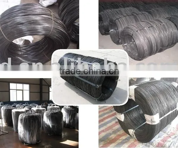 Good Quality Black Annealed Iron Wire photo-3