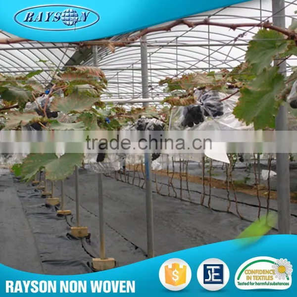 Technology 2016 Agriculture Nonwoven Polypropylene Fabric Roll photo-4