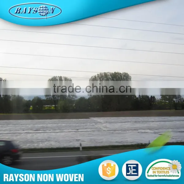 Promotion Product Agriculture Ground Cover Pp Spunbond Non Woven Cloth photo-2