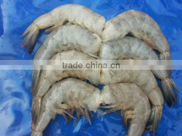 Vannamei Shrimp photo-3