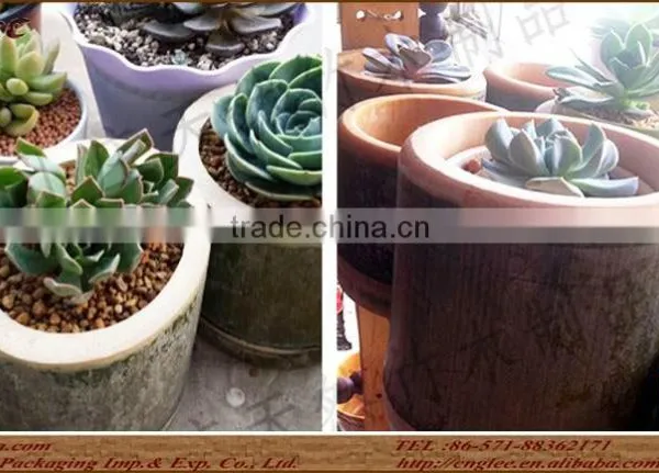 Promotion Fresh Bamboo Cook Mug/large Size Bamboo Cup photo-5