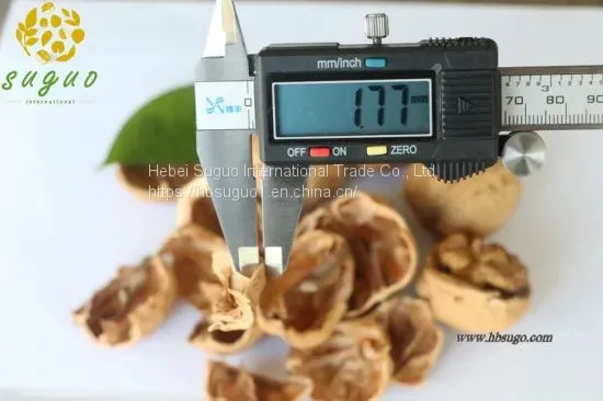 Northern Walnut Kernel & Whole Half Walnut Kernel & Balanced Walnut Kernel photo-3