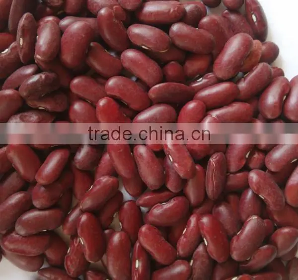 Red Kidney Beans photo-2