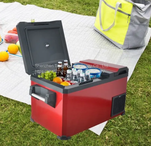 2021 New Dual Temperature Zone Independent Refrigeration Can Reach Minus 20 Degrees 35L Wholesale OEM Compressor Car Refrigerator