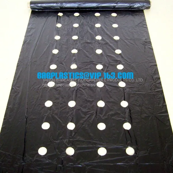 Agricultural Film, pe Film, Horticultural Mulch Film, Garden Perforated Ground Film,Mulching Films, Garden Film, pe Film