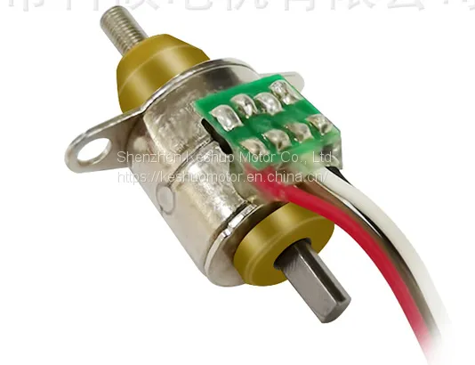 10BY Strentching Stepper Motor photo-3