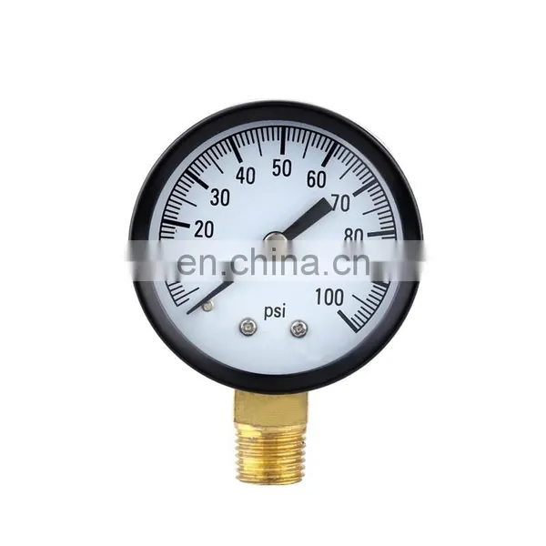 HOT SELL Factory Price Customization Shockproof Type Stainless Steel Copper Pressure Gauge photo-2