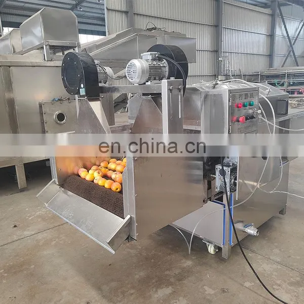 Made in CHINA Fruit & Vegetable Processing Machines Fruit Vegetable Washing Equipments photo-3