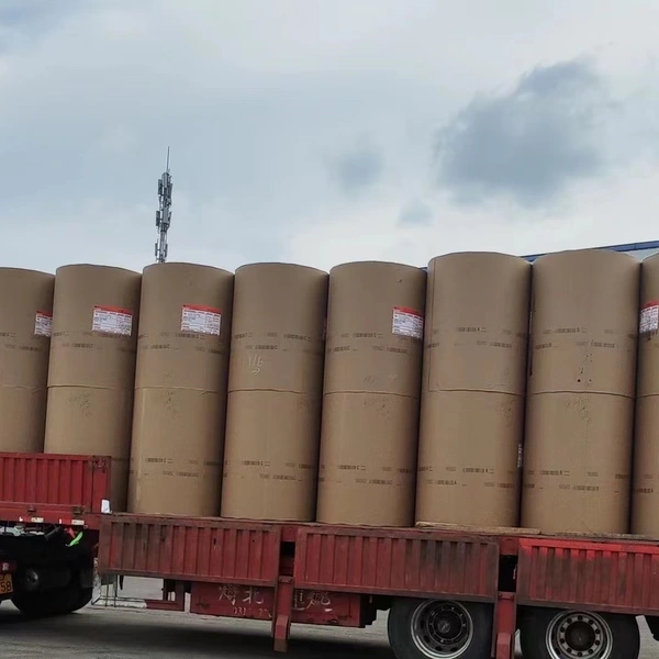 Shenzhen Kexin Green Packaging Co.,ltd company overview - view 3