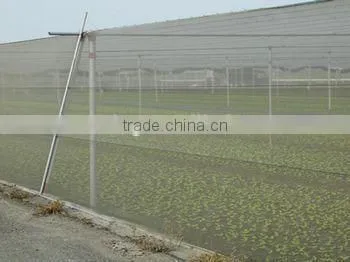 HDPE 100% Virgin Raw Material Anti Insect Net/Greenhouse Insect Proof Nets photo-4