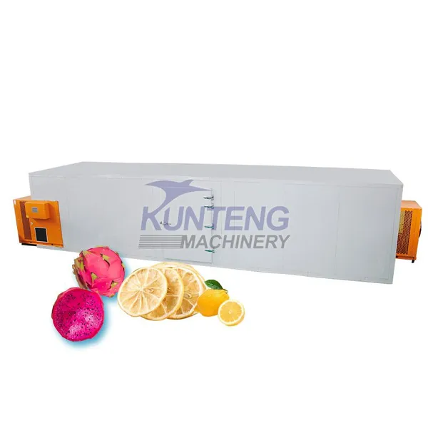 Customizable Tray Rose Mushroom Coconut Meat Lemon Slices Mango Sunflower Seeds Dryer EPC