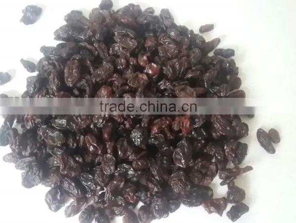 Dark Green Raisin