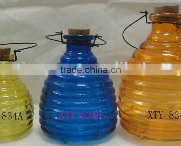Hanging Glass Bee Catcher