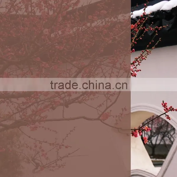 Straw Yellow Color Window Tinting Film, Glass PET Film photo-4