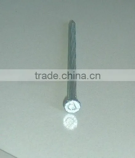 Galvanized Stainless Concrete Nail/Concrete Steel Nail