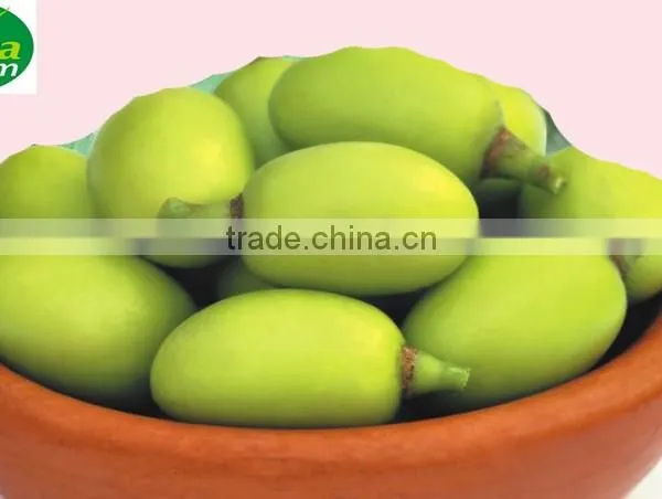 PURE TERRA NEEM OIL - USDA ORGANIC photo-6