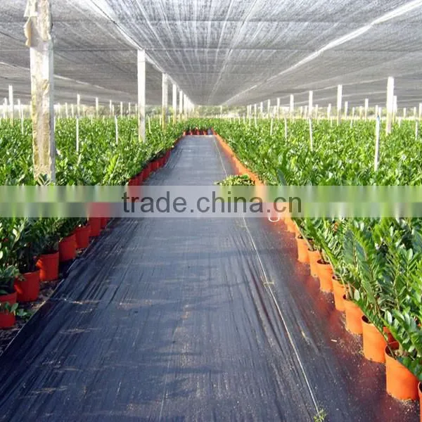 Black Weed Control 100GSM Ground Cover Fabric2*100m