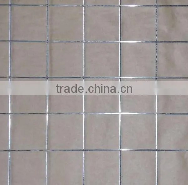 Low Price Electro Galvanized Welded Wire Mesh Made in China photo-5