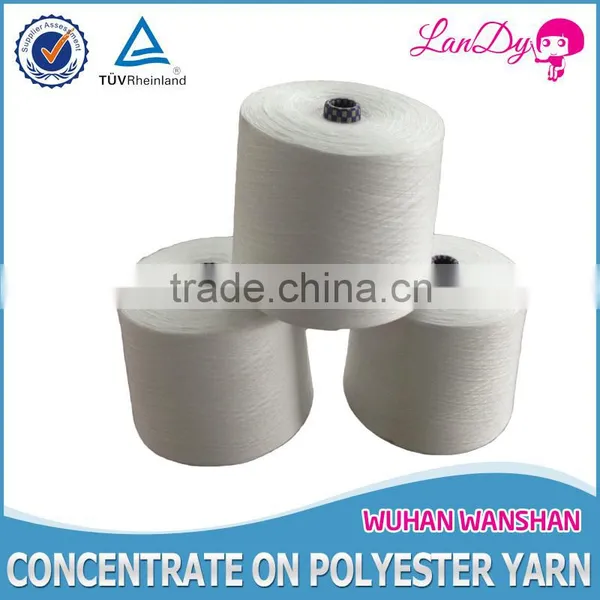 Well 20s/2 Raw White Spun Polyester Sewing Thread for Knitting photo-4
