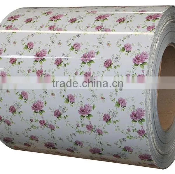 High Quality PPGI Galvanized Steel Coil Sheet for Building/decoration Material photo-4