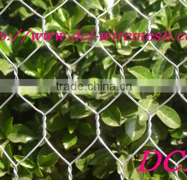 Galvanized Hexagonal Wire Netting