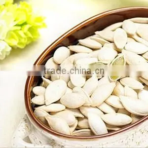 Snow White Pumpkin Seeds , Pumpkin Seeds in Shell photo-2
