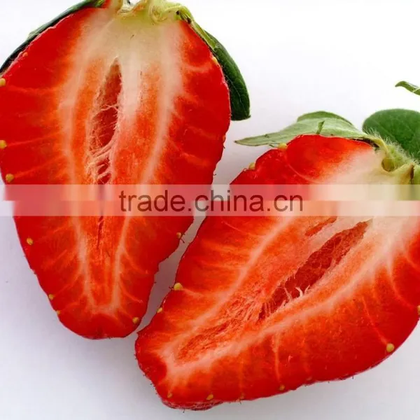 Strawberry photo-5