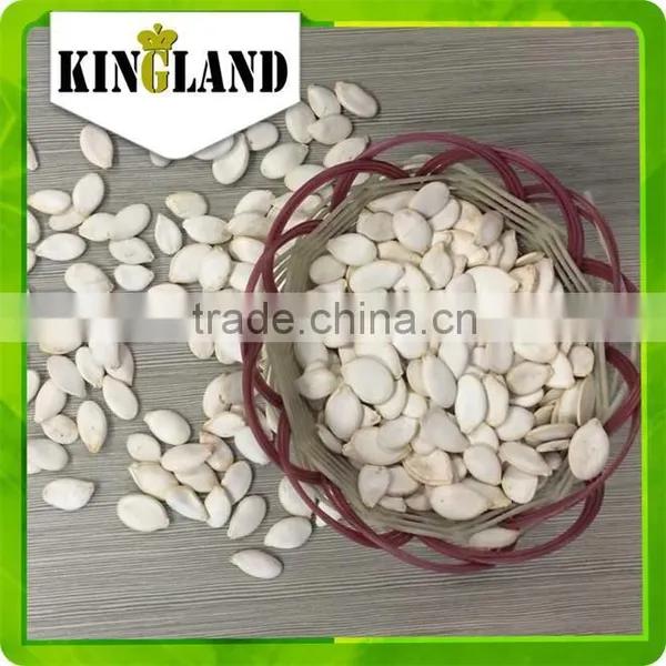 High Quaity Pumpkin Seeds Extract photo-3