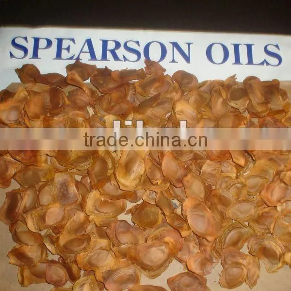Khaya Ivorensis Seed