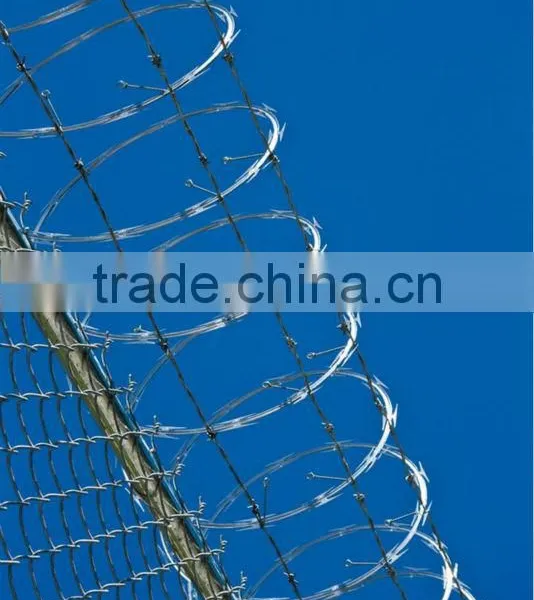 (high Quality)Galvinized Razor Barbed Wire(factory) photo-4