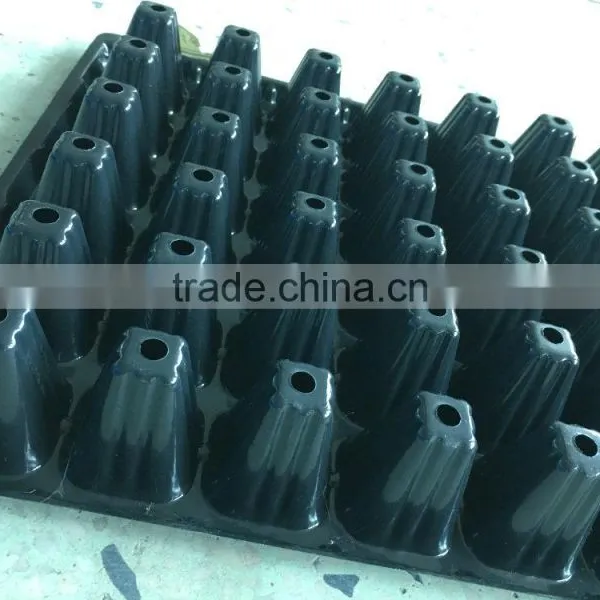 #014 Black Plastic Seedling Trays/High Quality Black Plastic Seedling Trays photo-5