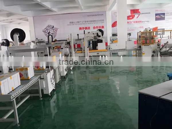 Hot Sale Fully Automatic Case Sealing Machine With OMRON Control System photo-4