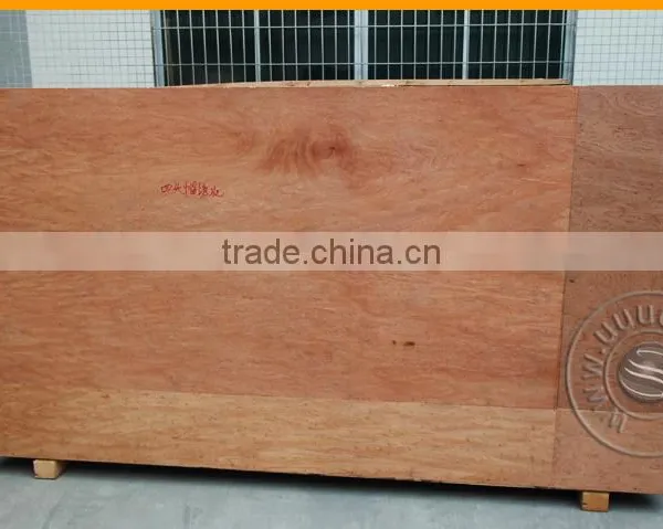Hot Sale Embroidery Machine Digital photo-4